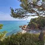 Maella