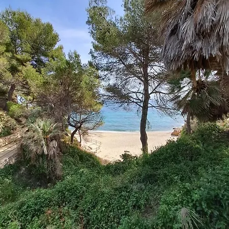 Maella *