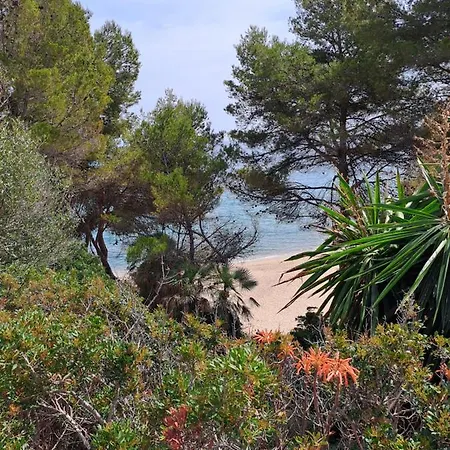 Διαμέρισμα Maella Miami Playa
